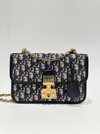 Dior Blue Addict Canvas Handbag
