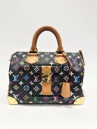 Louis Vuitton Multicolor Murakami Speedy Monogram Canvas Handbag