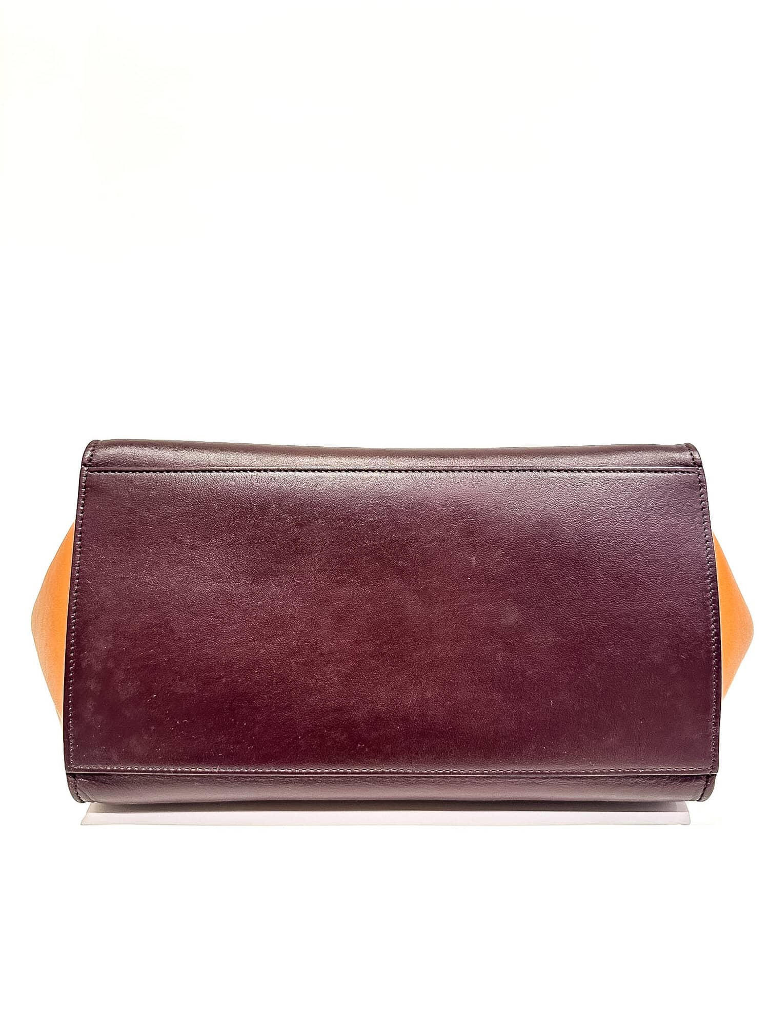 Celine Multicolor Trapèze Leather Handbag - Image 6