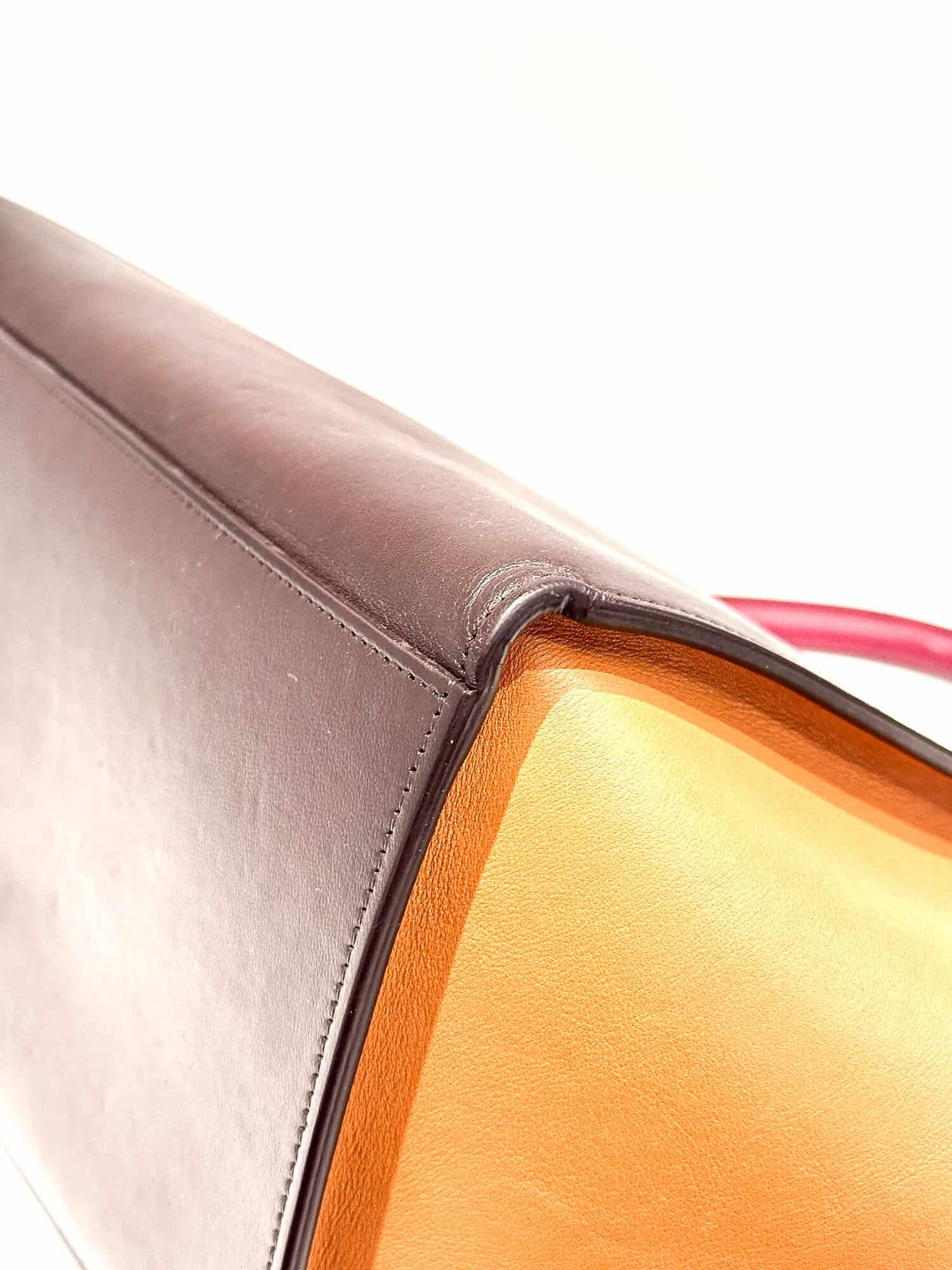 Celine Multicolor Trapèze Leather Handbag - Image 10