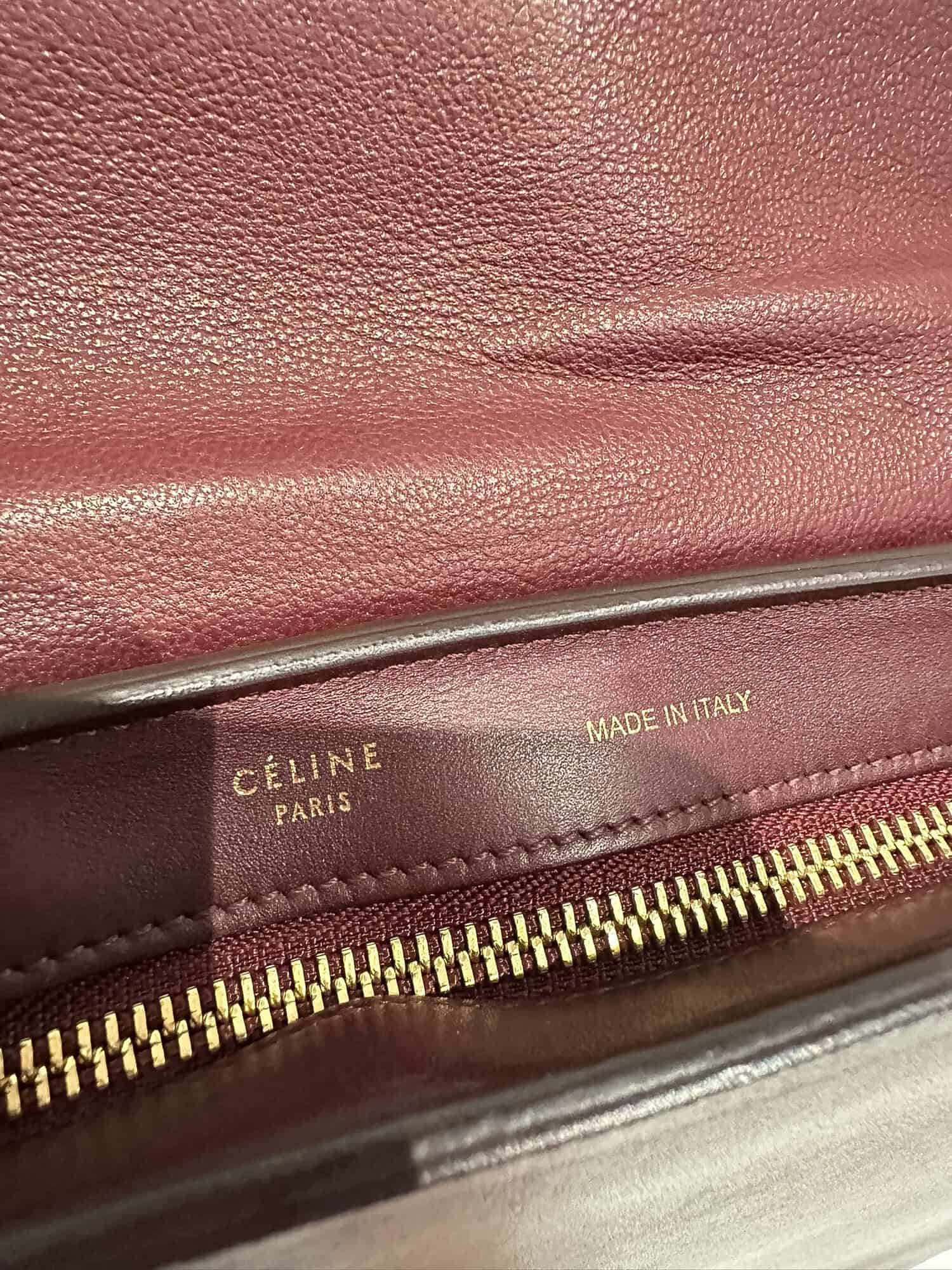 Celine Multicolor Trapèze Leather Handbag - Image 14