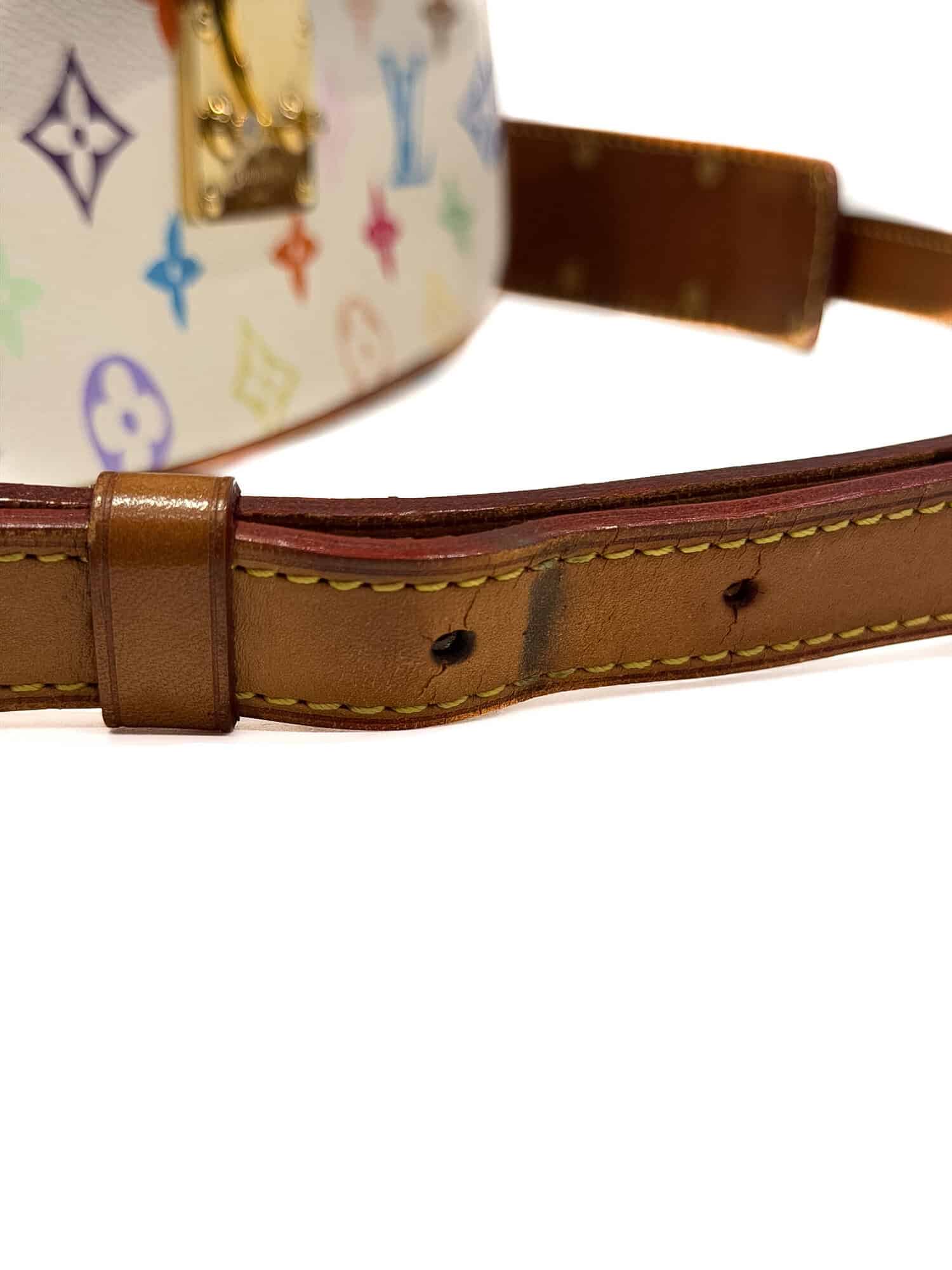 Louis Vuitton Multicolor Murakami Sologne Monogram Canvas Handbag - Image 11