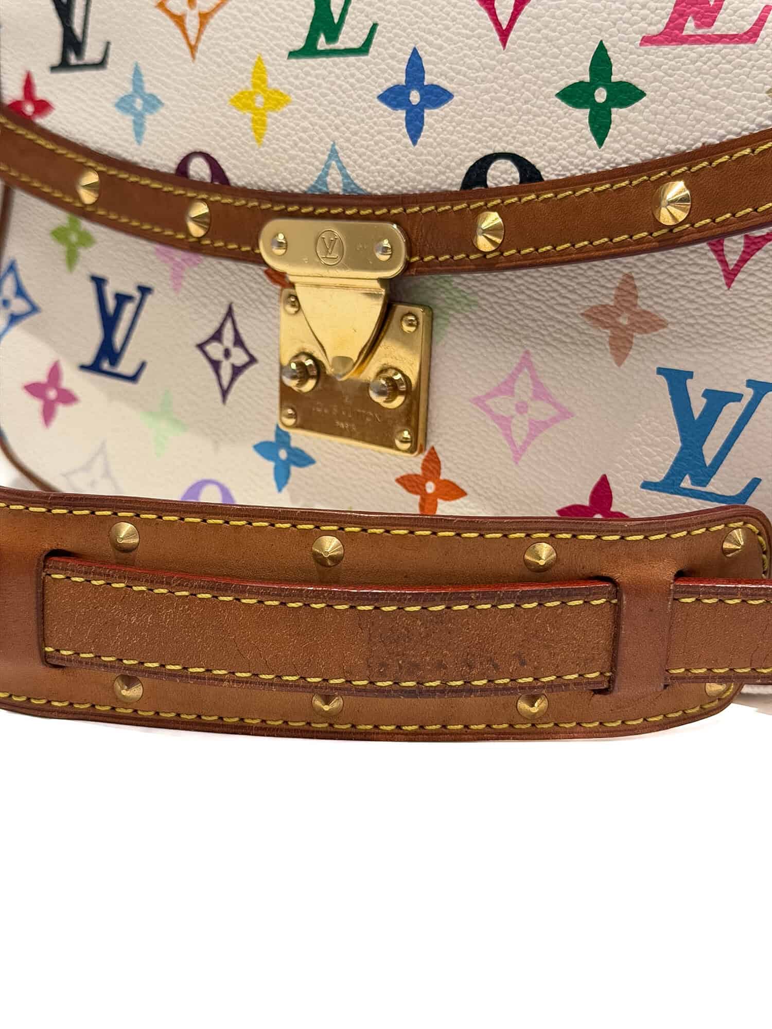 Louis Vuitton Multicolor Murakami Sologne Monogram Canvas Handbag - Image 12